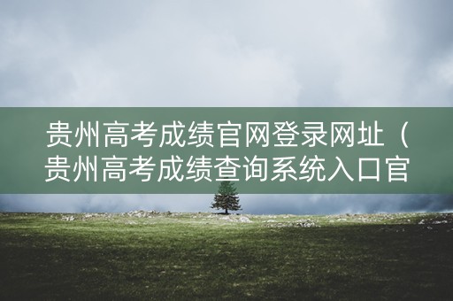 贵州高考成绩官网登录网址（贵州高考成绩查询系统入口官网网址）