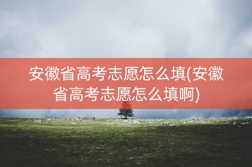 安徽省高考志愿怎么填(安徽省高考志愿怎么填啊) 安徽省高考志愿怎么填(安徽省高考志愿怎么填啊)