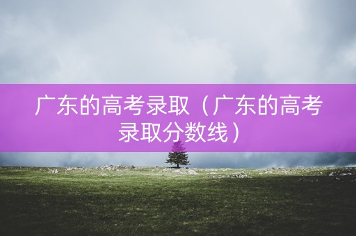 广东的高考录取（广东的高考录取分数线）