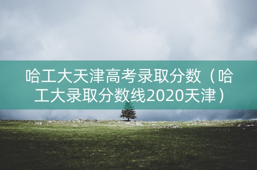 哈工大天津高考录取分数（哈工大录取分数线2020天津）