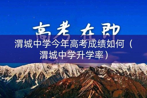 渭城中学今年高考成绩如何（渭城中学升学率）