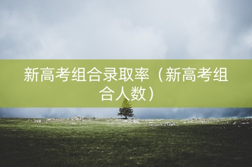 新高考组合录取率(新高考组合人数) 新高考组合录取率(新高考组合人数)