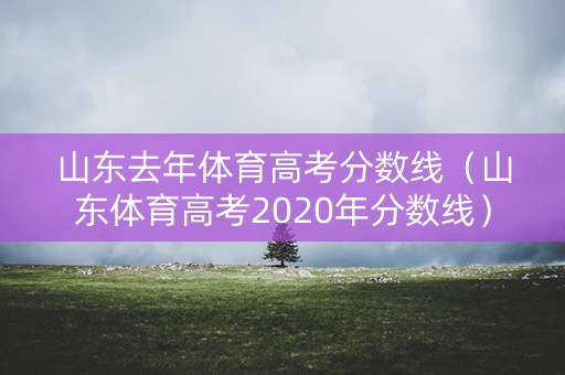 山东去年体育高考分数线（山东体育高考2020年分数线）