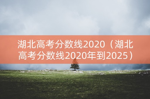 湖北高考分数线2020（湖北高考分数线2020年到2025）