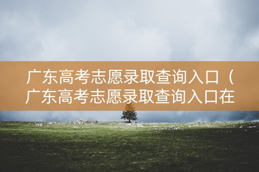 广东高考志愿录取查询入口（广东高考志愿录取查询入口在哪）
