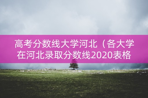 高考分数线大学河北（各大学在河北录取分数线2020表格）