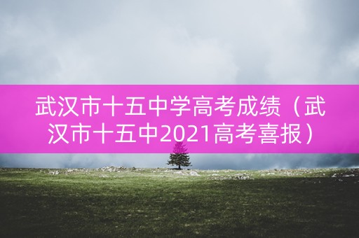 武汉市十五中学高考成绩（武汉市十五中2021高考喜报）