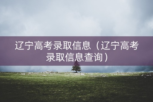 辽宁高考录取信息（辽宁高考录取信息查询）