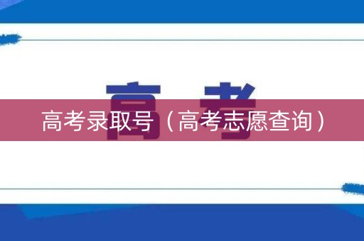 高考录取号（高考志愿查询）