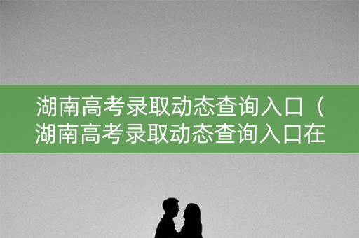 湖南高考录取动态查询入口（湖南高考录取动态查询入口在哪）