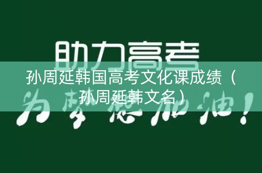 孙周延韩国高考文化课成绩（孙周延韩文名）