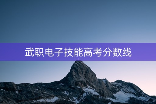 武职电子技能高考分数线