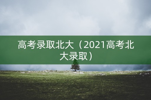 高考录取北大（2021高考北大录取）