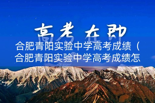 合肥青阳实验中学高考成绩（合肥青阳实验中学高考成绩怎么样）