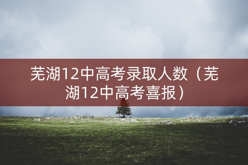 芜湖12中高考录取人数（芜湖12中高考喜报）