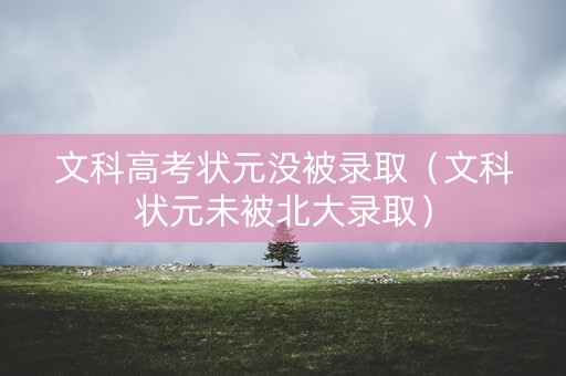 文科高考状元没被录取（文科状元未被北大录取）