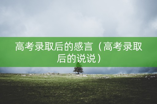 高考录取后的感言（高考录取后的说说）