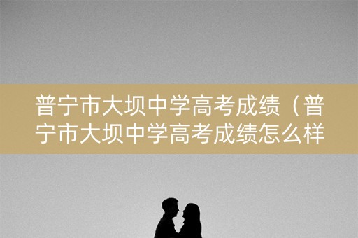 普宁市大坝中学高考成绩（普宁市大坝中学高考成绩怎么样）