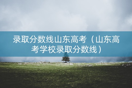 录取分数线山东高考（山东高考学校录取分数线）