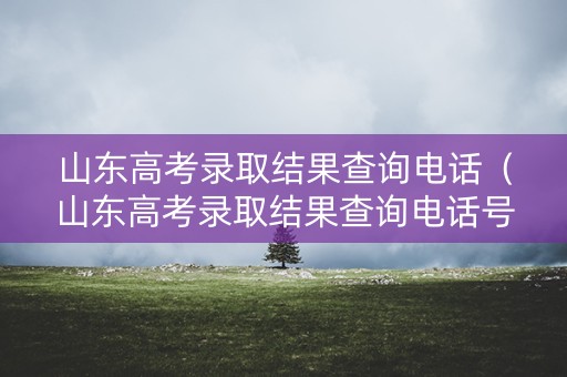 山东高考录取结果查询电话（山东高考录取结果查询电话号码）