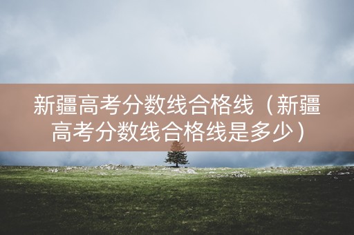 新疆高考分数线合格线（新疆高考分数线合格线是多少）