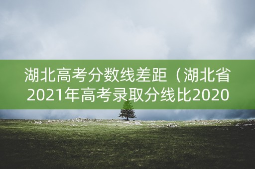 湖北高考分数线差距（湖北省2021年高考录取分线比2020年要低吗?）