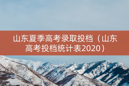 山东夏季高考录取投档（山东高考投档统计表2020）