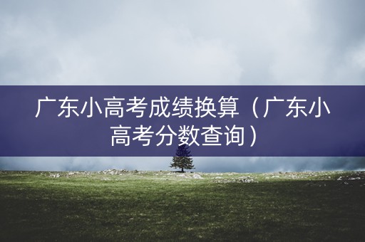广东小高考成绩换算（广东小高考分数查询）