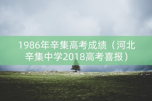 1986年辛集高考成绩（河北辛集中学2018高考喜报）