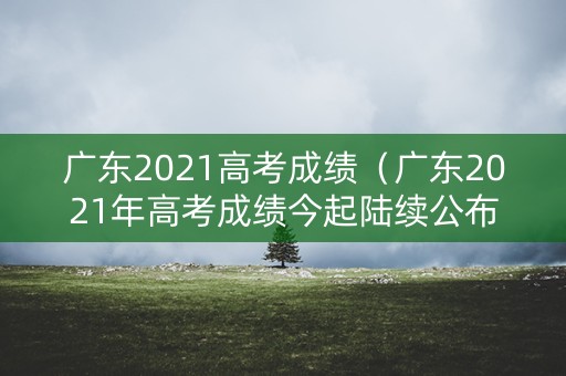 广东2021高考成绩（广东2021年高考成绩今起陆续公布）