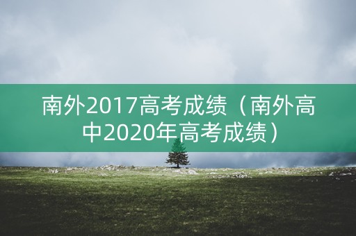 南外2017高考成绩（南外高中2020年高考成绩）