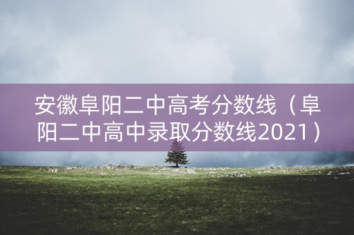 安徽阜阳二中高考分数线（阜阳二中高中录取分数线2021）