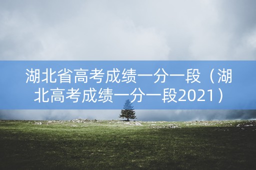 湖北省高考成绩一分一段（湖北高考成绩一分一段2021）