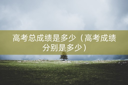高考总成绩是多少（高考成绩分别是多少）