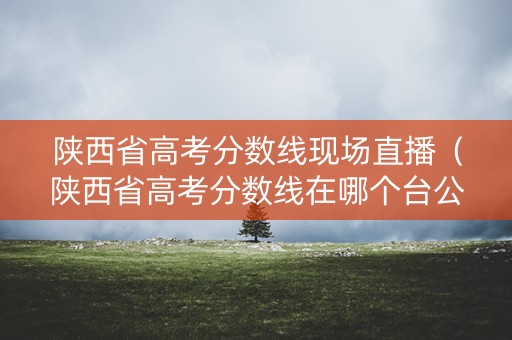 陕西省高考分数线现场直播(陕西省高考分数线在哪个台公布) 陕西省高考分数线现场直播(陕西省高考分数线在哪个台公布)