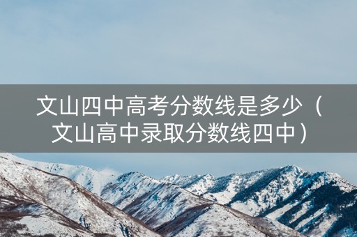 文山四中高考分数线是多少（文山高中录取分数线四中）