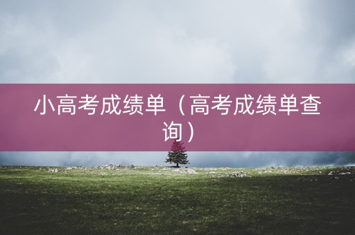小高考成绩单(高考成绩单查询) 小高考成绩单(高考成绩单查询)