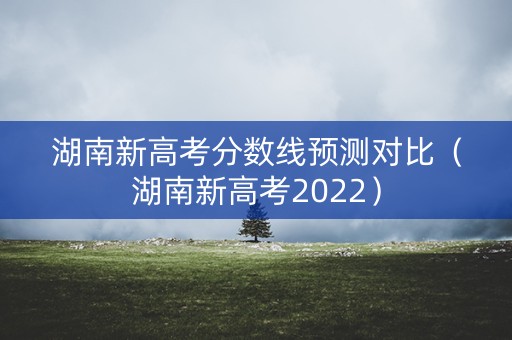 湖南新高考分数线预测对比（湖南新高考2022）