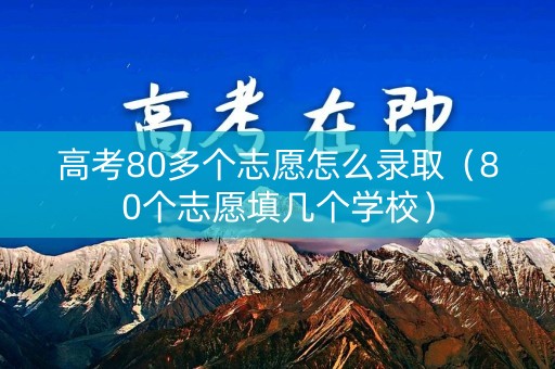 高考80多个志愿怎么录取（80个志愿填几个学校）