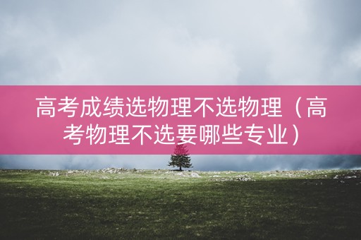 高考成绩选物理不选物理（高考物理不选要哪些专业）