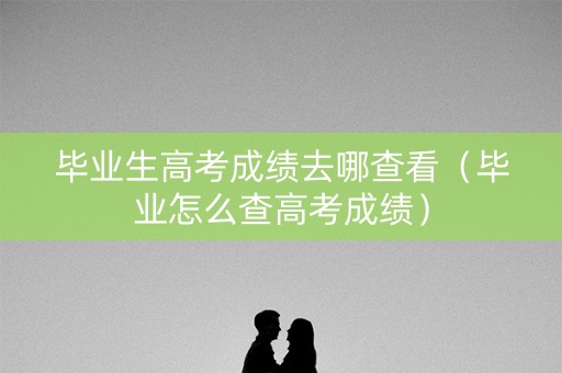 毕业生高考成绩去哪查看（毕业怎么查高考成绩）