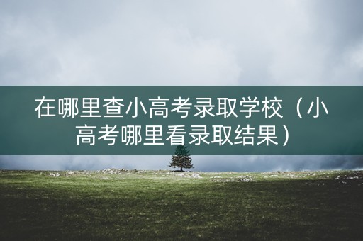在哪里查小高考录取学校(小高考哪里看录取结果) 在哪里查小高考录取学校(小高考哪里看录取结果)