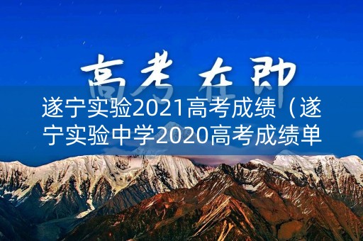 遂宁实验2021高考成绩（遂宁实验中学2020高考成绩单）