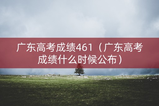 广东高考成绩461（广东高考成绩什么时候公布）
