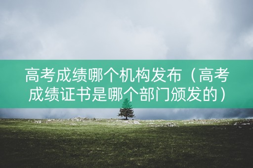 高考成绩哪个机构发布（高考成绩证书是哪个部门颁发的）