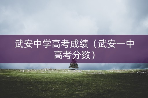 武安中学高考成绩（武安一中高考分数）