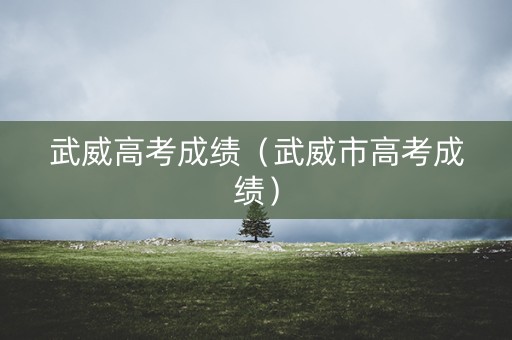 武威高考成绩（武威市高考成绩）