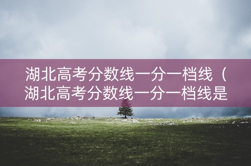 湖北高考分数线一分一档线(湖北高考分数线一分一档线是多少) 湖北高考分数线一分一档线(湖北高考分数线一分一档线是多少)