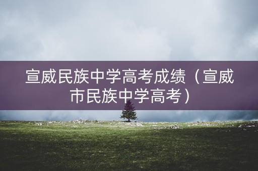宣威民族中学高考成绩（宣威市民族中学高考）