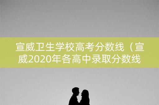宣威卫生学校高考分数线（宣威2020年各高中录取分数线）